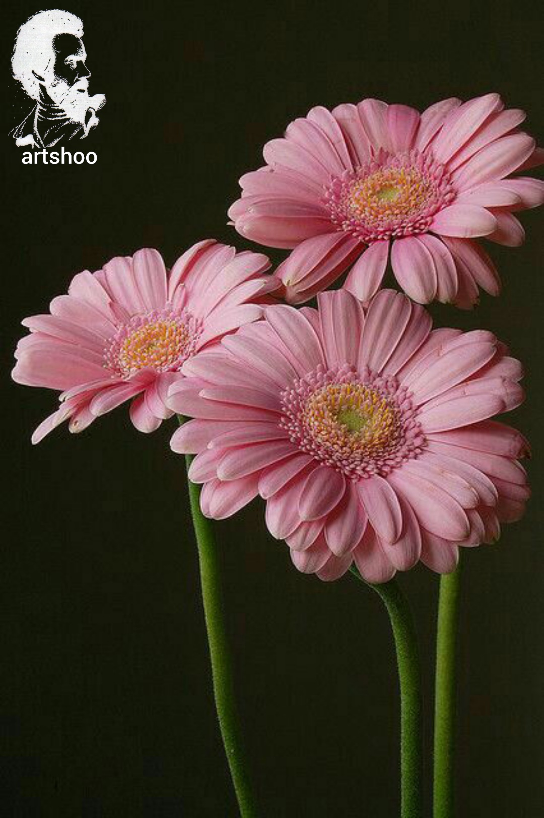 گل اورژینال رنگ روغن